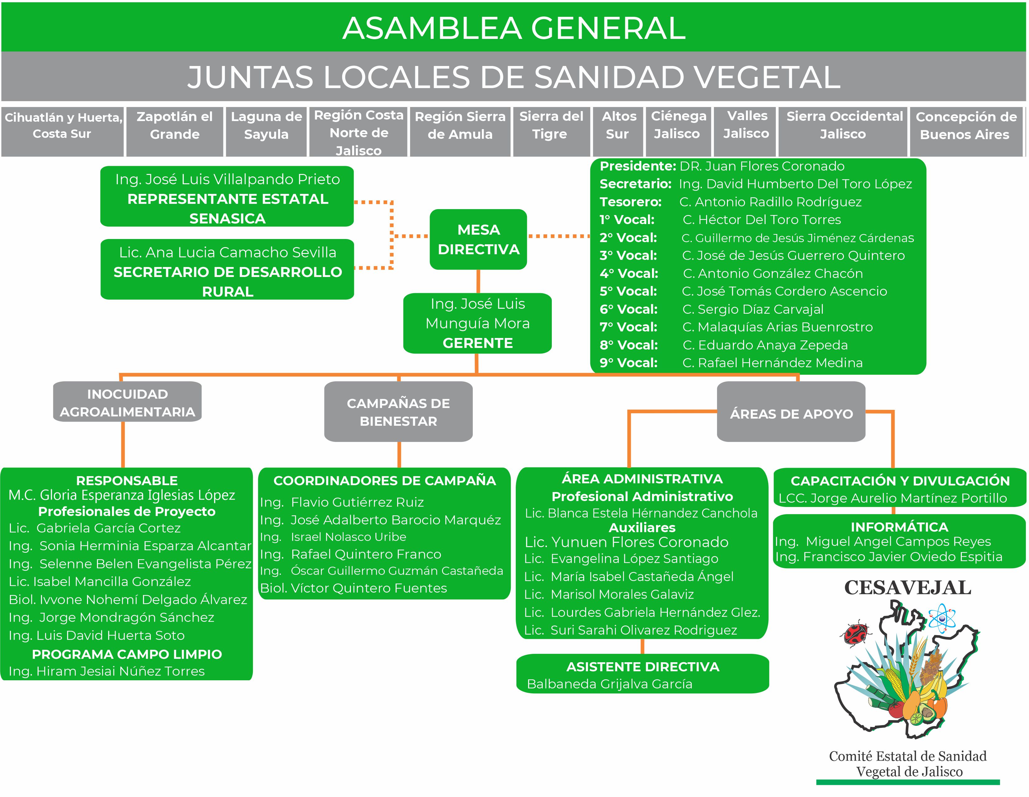 OrganigramaCESAVEJAL