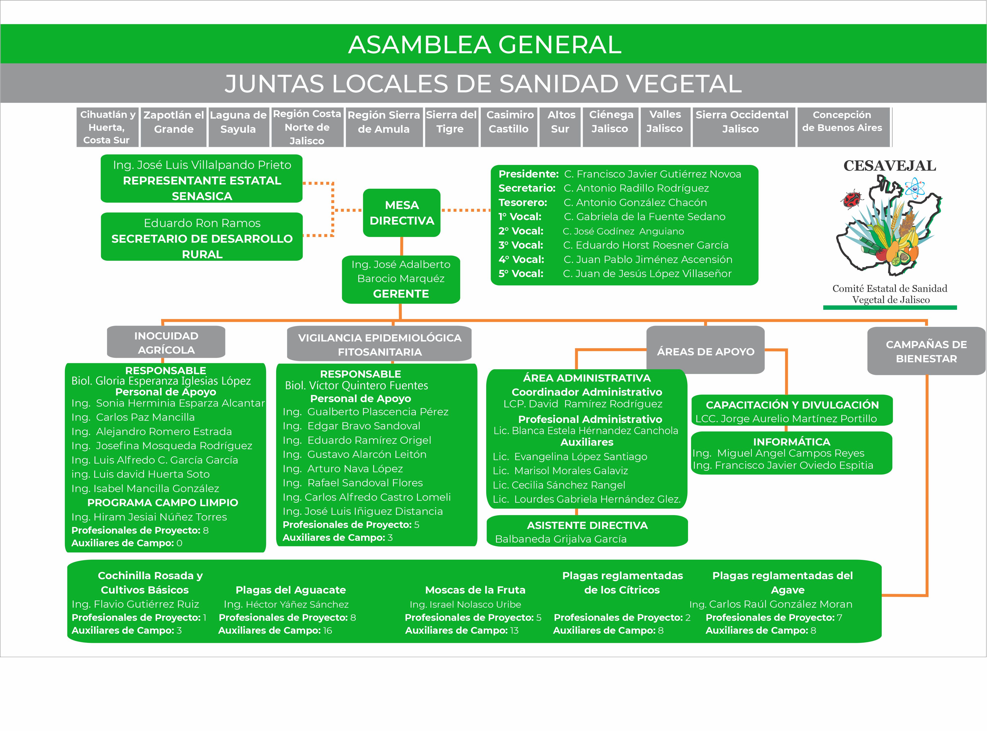 OrganigramaCESAVEJAL